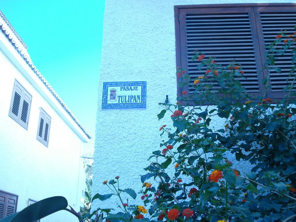 Apartment Apartamento Nicole Los Gigantes By Apartamentos Estrella Del Norte Puerto de Santiago  Spain